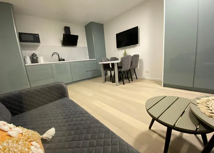 Lafa Vanagupes Apartamentai Daire Palanga