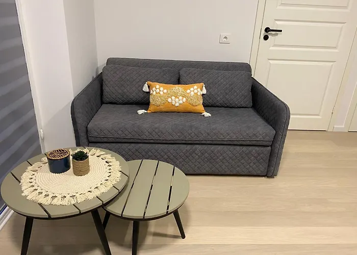 Lafa Vanagupes Apartamentai דירה פלאנגה