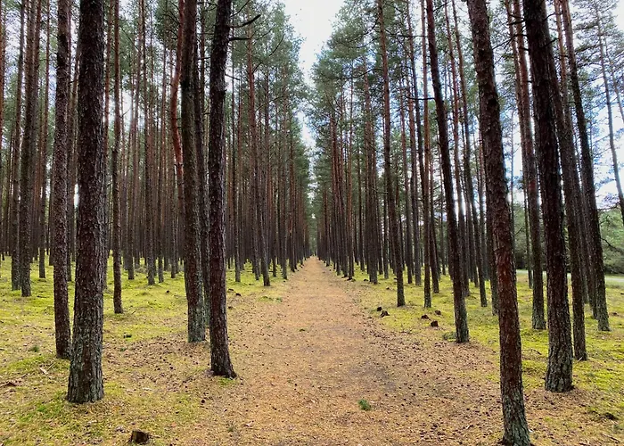 Daire Lafa Vanagupes Apartamentai *